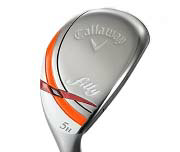 Callaway/filly